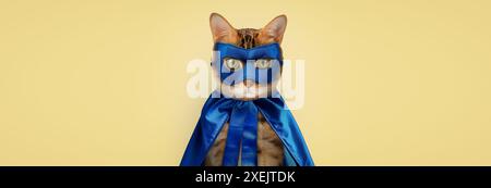 Bengal cat on a white background, fluffy orange, black striped, pet, big beautiful cat Stock Photo