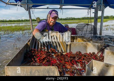 Indian Bayou, United States. 25th Apr, 2024. Fisherman and crawfish ...