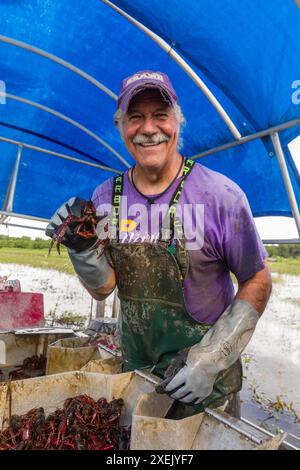 Indian Bayou, United States. 25th Apr, 2024. Fisherman and crawfish ...