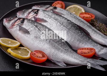 Fresh raw ocean sea bass fish with salt Stock Photo