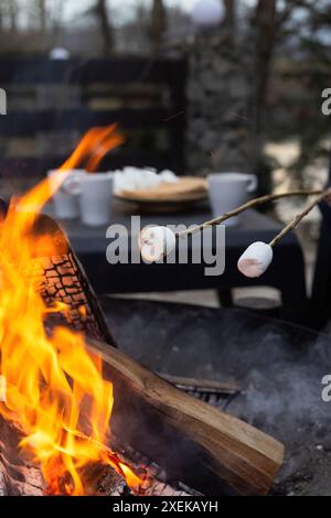 Two marshmallows on sticks are being roasted over a campfire. Stock Photo