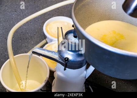 In farmer Bettina Huber's dairy on the Promegghof farm in Salzburgerland. The fresh milk from the mountain pastures is separated into skimmed milk and cream. The cream, which is later used to make butter, is very yellow in summer due to the herbs in the Alpine meadows. A centrifuge is used to separate the cream from the whole milk for subsequent butter production. Promegg, Salzburg, Austria Stock Photo