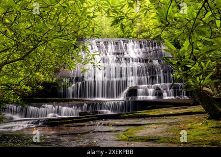 Grogan Creek Falls (or Falls on Grogan Creek) - Butter Gap Trail, Pisgah National Forest, near Brevard, North Carolina, USA Stock Photo