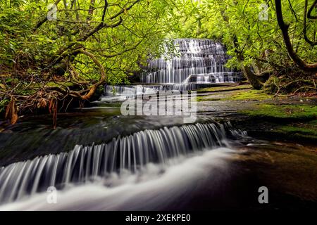 Grogan Creek Falls (or Falls on Grogan Creek) - Butter Gap Trail, Pisgah National Forest, near Brevard, North Carolina, USA Stock Photo