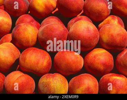Close up view of a box of ripe peaches on a market stall Stock Photo