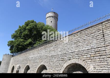 Pikk Hermann tower, part of Toompea Castle in Tallinn, Estonia. Stock Photo