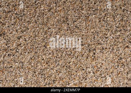 Background texture of sand with small pebbles, closeup Stock Photo