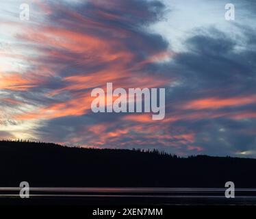 Silhouetted tree-lined horizon with sunset coloring the clouds with pink light over Frances Lake; Watson Lake, Yukon, Canada Stock Photo