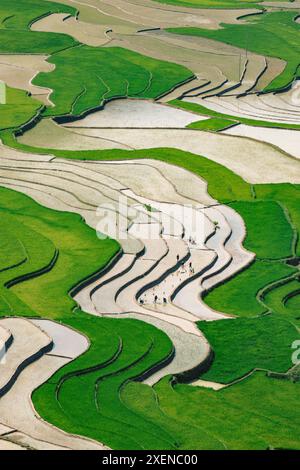 Workers on the terraced rice fields at Khau Pha Pass in Vietnam; Khau Pha Pass, Cao Pha, Mu Cang Chai District, Yen Bai, Vietnam Stock Photo