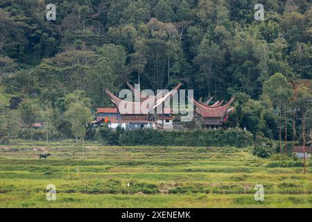 Tongkonan, traditional ancestral houses in the Rantepao area of Sulawesi, Indonesia; Rantepao, North Toraja, South Sulawesi, Indonesia Stock Photo