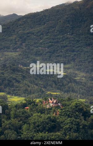 Tongkonan, traditional ancestral houses on a hilltop in the Rantepao area of Sulawesi, Indonesia; Rantepao, North Toraja, South Sulawesi, Indonesia Stock Photo