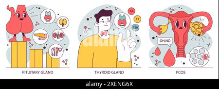 Endocrine system organs and disease set. Human glands function. Pituitary, adrenal and thyroid gland. Human hormones secretion and. balance. Metabolism regulation. Flat vector illustration Stock Vector