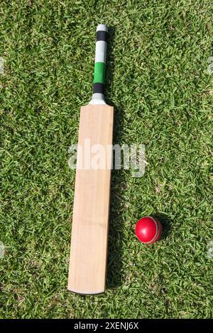 A top view shot of cricket bat and ball on lush green grass. Stock Photo