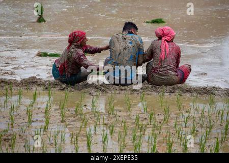 Bhaktapur, Nepal. 29th June, 2024. On June 29, 2024, in Bhaktapur ...