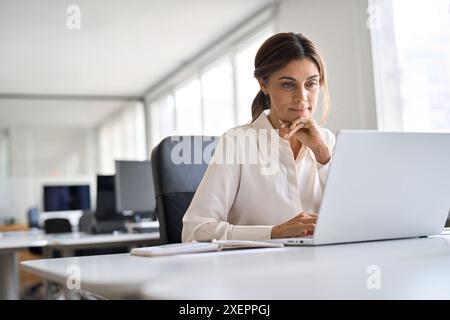 Mature professional business woman executive working on computer in office. Stock Photo