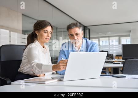 Two busy executive team business people working on computer at office meeting. Stock Photo