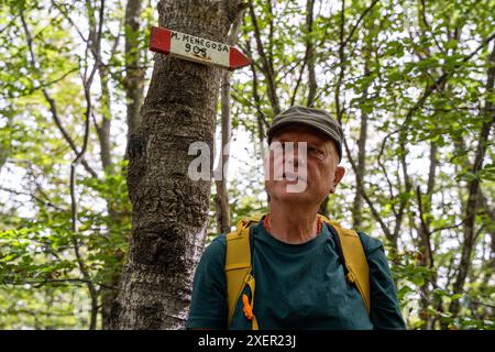 portrait of happy mature man doing hiking in mountain woods dressed in sports clothes and backpacks Stock Photo
