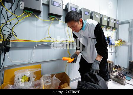 (240629) -- WOLONG, June 29, 2024 (Xinhua) -- Staff member Mu Shijie prepares to patrol the giant panda wild training fields of Tiantai Mountain in Wolong National Nature Reserve in southwest China's Sichuan Province, June 24, 2024. In recent years, China has made significant progress in panda conservation through a series of measures, including forest and wildlife protection as well as the construction of giant panda national parks. The wild giant panda population in China has grown from about 1,100 in the 1980s to nearly 1,900. Giant panda reintroduction refers to releasing captive-bred gi Stock Photo