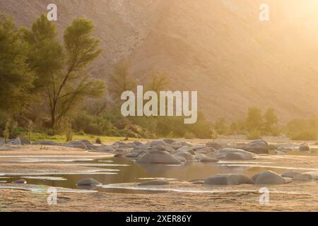 Golden light at dawn, at one of the rare, vegetated riverbanks of the Fish River, within the Fish River Canyon, in Namibia Stock Photo