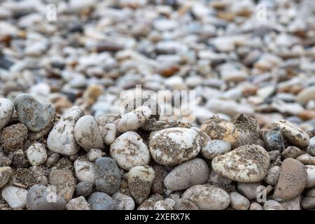 Various colors and shapes of the pebbles on the coast of the Ioninan sea. Partly covered by sand from the sea. Acharavi, island Corfu, Greece. Stock Photo