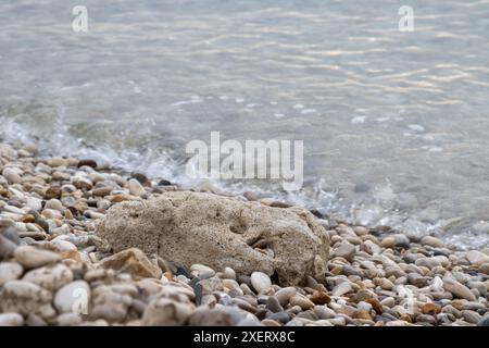 Various colors and shapes of the pebbles on the coast of the Ioninan sea. One bigger rock of a sand color. Diagonal line of the seawater. Acharavi, is Stock Photo