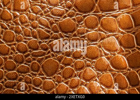 Imitation of reptile skin texture for background. Faux crocodile leather Stock Photo