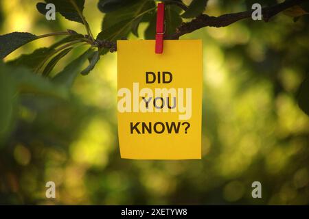 A yellow paper note with the question Did You Know on it attached to a tree branch with a clothes pin. Close up. Stock Photo