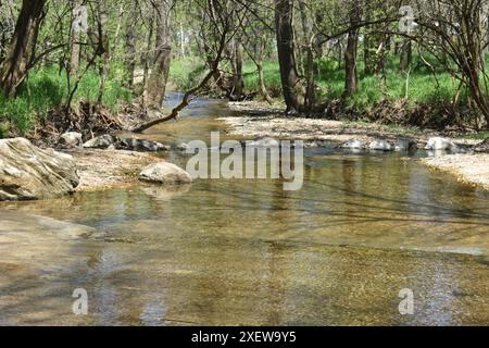 Johnson Creek runs over a small concrete low-water bridge at the entrance of Paris Springs Access and flows to meet Turnback Creek. Stock Photo