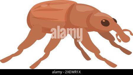 Brown weevil is walking on six legs Stock Vector