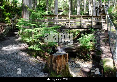 Uphill Pathway Leading To The Cascade Falls Located Northeast Of