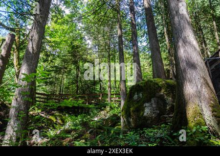 Uphill Pathway Leading To The Cascade Falls Located Northeast Of