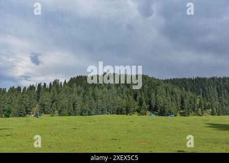 Porno analni xohlamadi