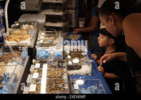 Los Angeles, USA. 29th June, 2024. Visitors view snakes at the LA pet fair in Pomona, Los Angeles County, California, the United States, on June 29, 2024. The pet fair is held from June 29 to 30 this year. Credit: Zeng Hui/Xinhua/Alamy Live News Stock Photo