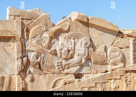 Bas-relief of a lion attacking a bull in Persepolis, Iran. Ancient Persian city. Persepolis is a popular tourist destination of the Middle East. Stock Photo