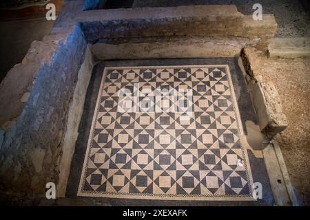 Roman mozaic in Domus dell'Ortaglia, Roman domus from I to IV AD in Museo di Santa Giulia (Santa Giulia City Museum) in monastic complex of San Salvat Stock Photo