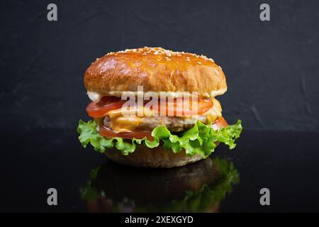 Delicious homemade burger with chicken meat. Cheeseburger on dark background Stock Photo