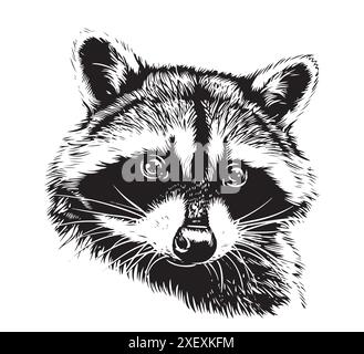 raccoon sketch vector graphics. Face of cute raccoon Stock Vector