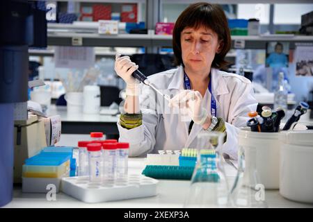 Laboratory technician using micropipette, Neuroscience lab, Research in neuromuscular disorders, neurodegenerative diseases, parkinson, dementia and m Stock Photo