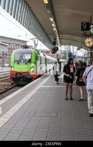 Münster Hauptbahnhof, Flixtrain. Linie FLX20 Hamburg - Köln. Flixtrain in Zusammenarbeit mit Hector Rail. Münster, Nordrhein-Westfalen, DEU, Deutschland, 21.05.2024 *** Münster main station, Flixtrain line FLX20 Hamburg Cologne Flixtrain in cooperation with Hector Rail Münster, North Rhine-Westphalia, DEU, Germany, 21 05 2024 Stock Photo