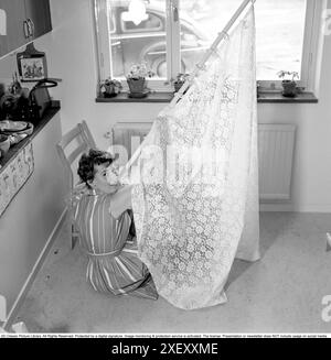 1960s home decorating. A woman at home putting up the curtains in the kitchen. She has mounted the curtains on the rod and is ready to put them up. Sweden 1966 Stock Photo