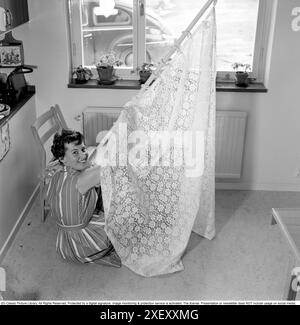 1960s home decorating. A woman at home putting up the curtains in the kitchen. She has mounted the curtains on the rod and is ready to put them up. Sweden 1966 Stock Photo