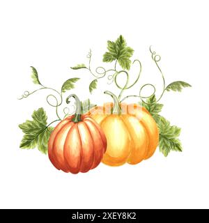Pumpkins with leaves and tendrils. Harvest Autumn composition. Hand ...
