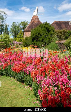 Antirrhinums at Great Dixter, East Sussex, UK Stock Photo