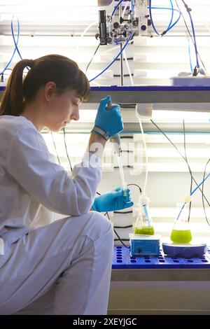 Algae culture. Algae biofuel research. Biotechnology Laboratory. Energy and Environment Division. Tecnalia Research and Innovation. Miñano. Alava. Bas Stock Photo