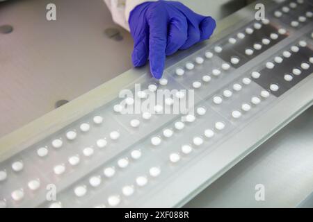 Technicians performing in-process control of tablets in a blister packaging, Clean room, Pharmaceutical plant, Drug manufacturing plant, Research Cent Stock Photo