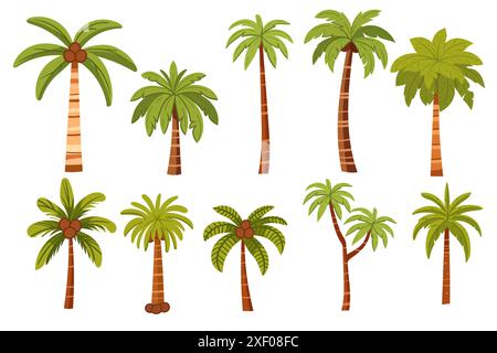 Set of tropical palm trees with green leaves and coconuts vector illustration isolated on white background. Stock Vector