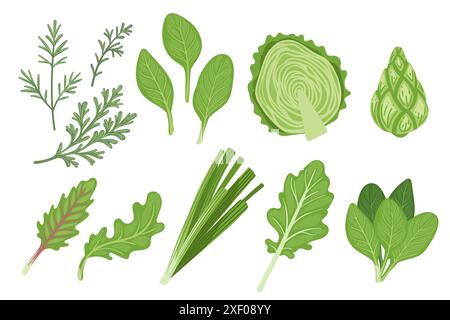 Set of different types of green edible plants leaves. Fresh tasty vegetables, ready for eat vector illustration isolated on white background. Stock Vector
