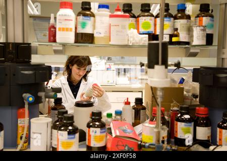 Chemical laboratory of adhesives. Fundacion Inasmet-Tecnalia. Donostia ...