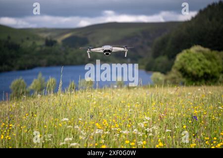Drone hovering over wildflower meadow in early summer in the Elan Valley, Powys, UK. Stock Photo