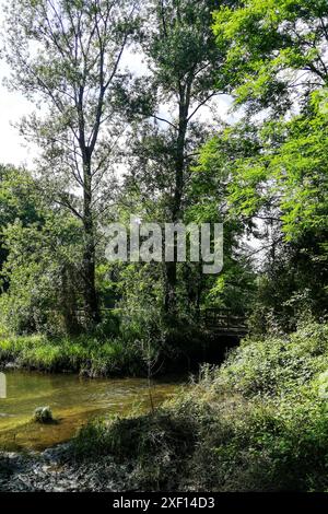 Italy, Lombardy, Bernate Ticino, Ticino Park, Lanca di Bernate Stock Photo